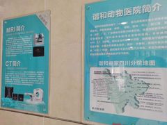 -谐和益家动物医院·免疫绝育·血液透析·宠保定点医院(高新伊藤分院)