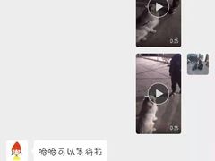 -北京京卫宠物寄养训练中心