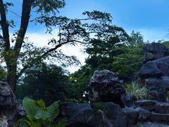 -顺峰山公园