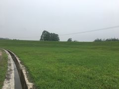 -堤边美食