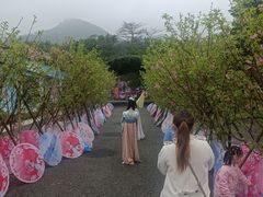 -牛鱼嘴原始生态风景区