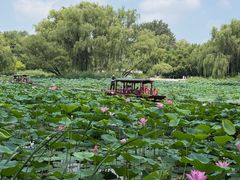 -皇家御河游(紫御湾码头)