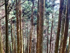 -井冈山风景名胜区-黄洋界