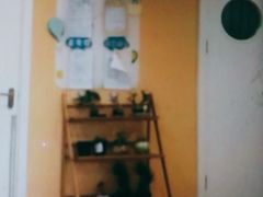 -绿城奇妙园双语日托(华茂悦峰园区)