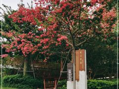 -深圳湾公园(南山区)