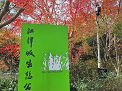 -西湖风景区-江洋畈生态公园