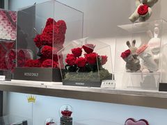 -ROSEONLY诺誓(广州K11店)