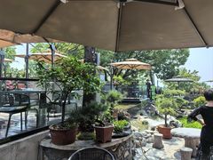 -蘇河湾·新鲁菜·泰山宴(泰山店)