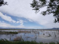 -野鸭湖国家湿地公园