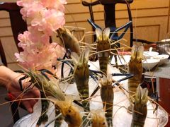 -海通1号(梅峰店)