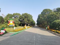 -上海都市菜园
