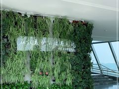 -WFC会仙楼观景台