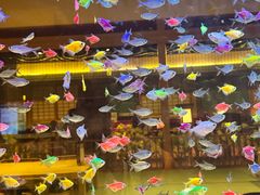 -大江户·温泉洗浴(浑南店)