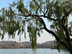 -浙江西子宾馆·瑶园咖啡厅