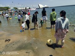 -碧海金沙