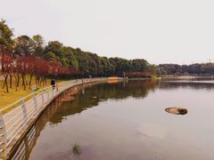 -美兰湖景区