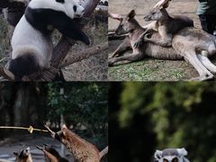 -宁波野生动物园