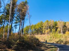 -塞罕坝国家级自然保护区