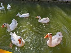 -南翠屏公园