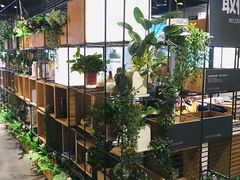 -ZM COFFEE(西安路店)