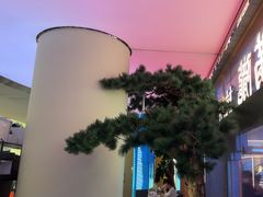 -桂满陇·手作小笼包&江南叫花鸡(中山公园店)