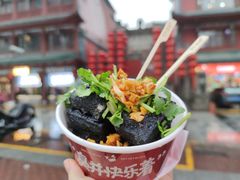 -黑色经典臭豆腐·湖南特产(坡子街店)