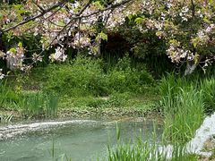 -苏州独墅湖世尊酒店