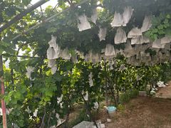 -大泽山风景名胜区