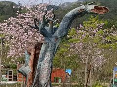 -牛鱼嘴原始生态风景区