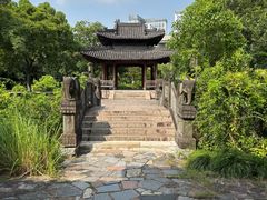 -三垟湿地