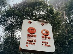-缙云山景区