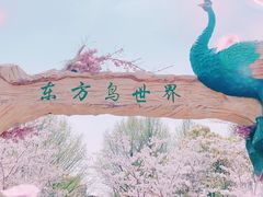 -顾村公园