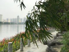 -南宁南湖公园