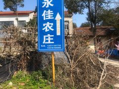 -青龙山国家森林公园