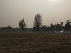 -大明宫国家遗址公园·御道广场