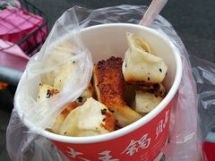 -汪记大王锅贴(成山路店)