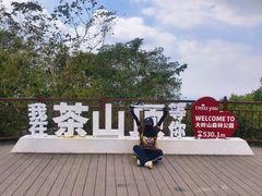 -东莞市大岭山森林公园