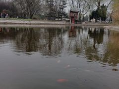 -北京世界公园