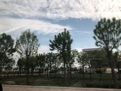 -东疆理想海岸沙滩景区