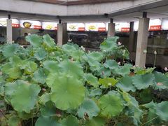 -天怡·鱼工厂(梅溪湖店)