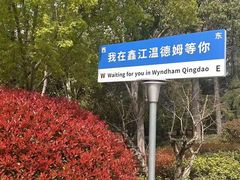 -青岛鑫江温德姆酒店