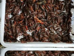 -渔人湾码头海鲜市场负二楼