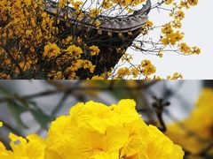 -华西坝(地铁站)
