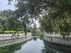 -大望京公园
