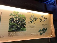 -海南槟榔谷黎苗文化旅游区