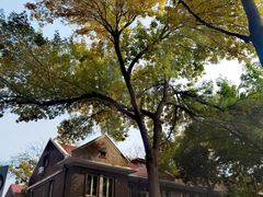 -天津五大道文化旅游区