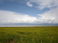 -青海湖国家重点风景名胜区
