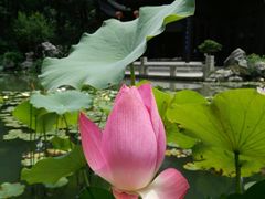 -南京东郊国宾馆