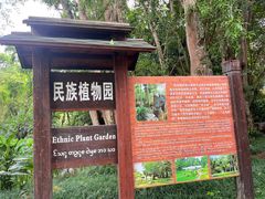 -中国科学院西双版纳热带植物园