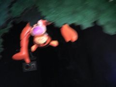 -小熊维尼历险之旅